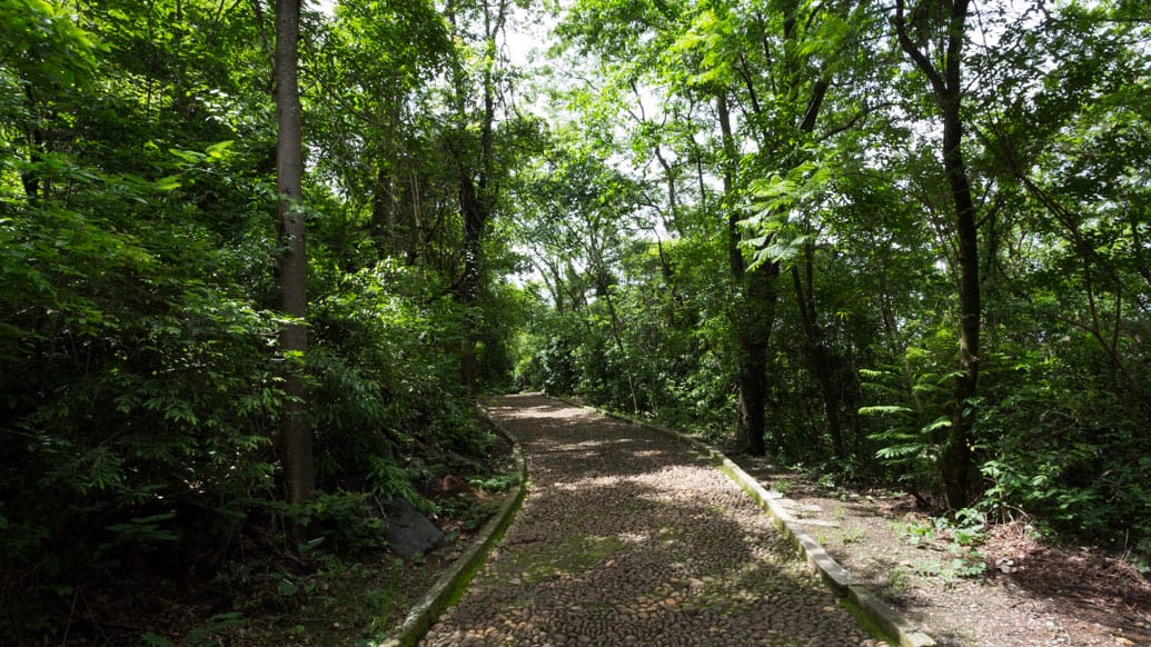 Trilha para chegar na Gruta Rei do Mato, em Sete Lagoas, MG