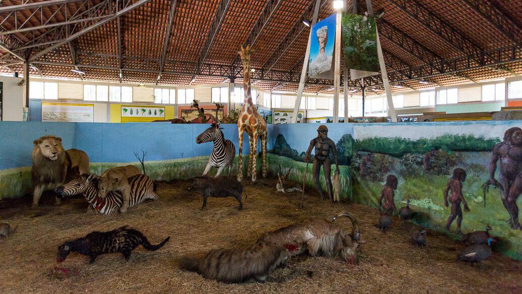 Museu de História Natural no Memorial do Cerrado em Goiânia