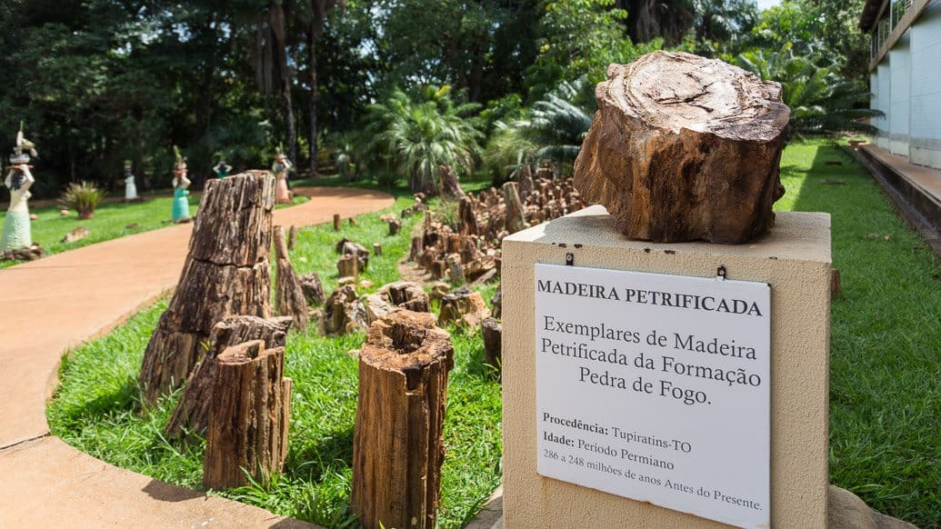 Madeira Petrificada no Memorial do Cerrado em Goiânia