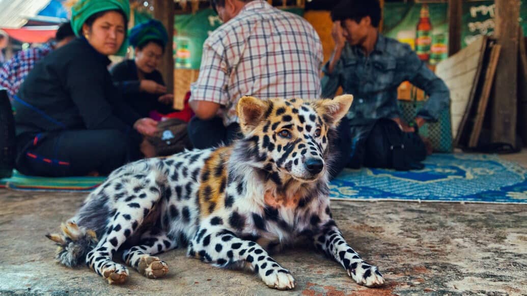 Lago Inle em Myanmar