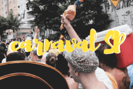 carnaval-sp-2017-01