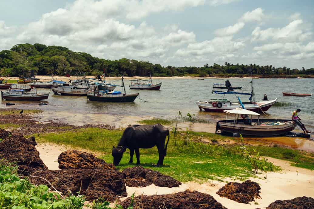 Ilha do Marajó