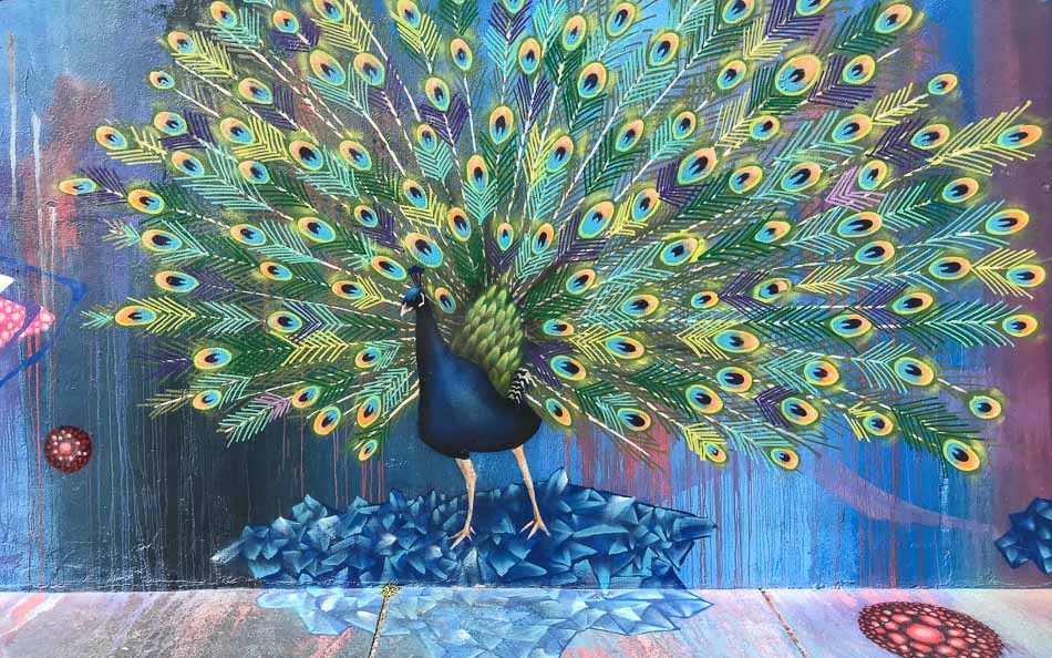 Pavão, do artista Enivo, no Beco do Batman, em SP Beco do Batman em São Paulo