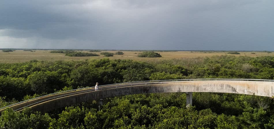 Shark Valley: Everglades perto de Miami