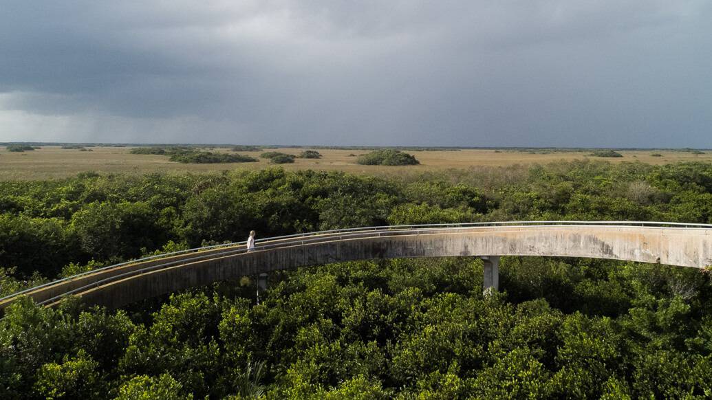 Everglades perto de Miami