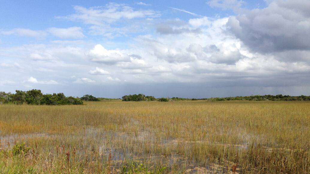 Everglades perto de Miami