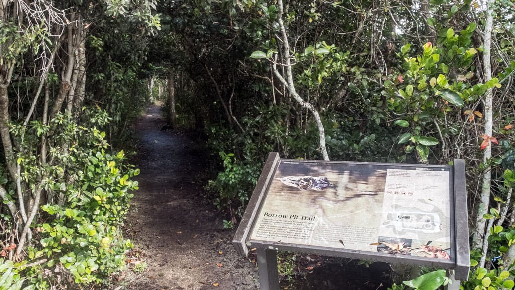 Everglades perto de Miami