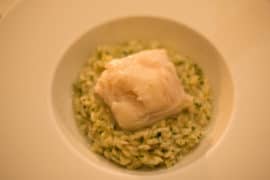 vinheria-percussi-sp-venezia-risotto-bacalhau