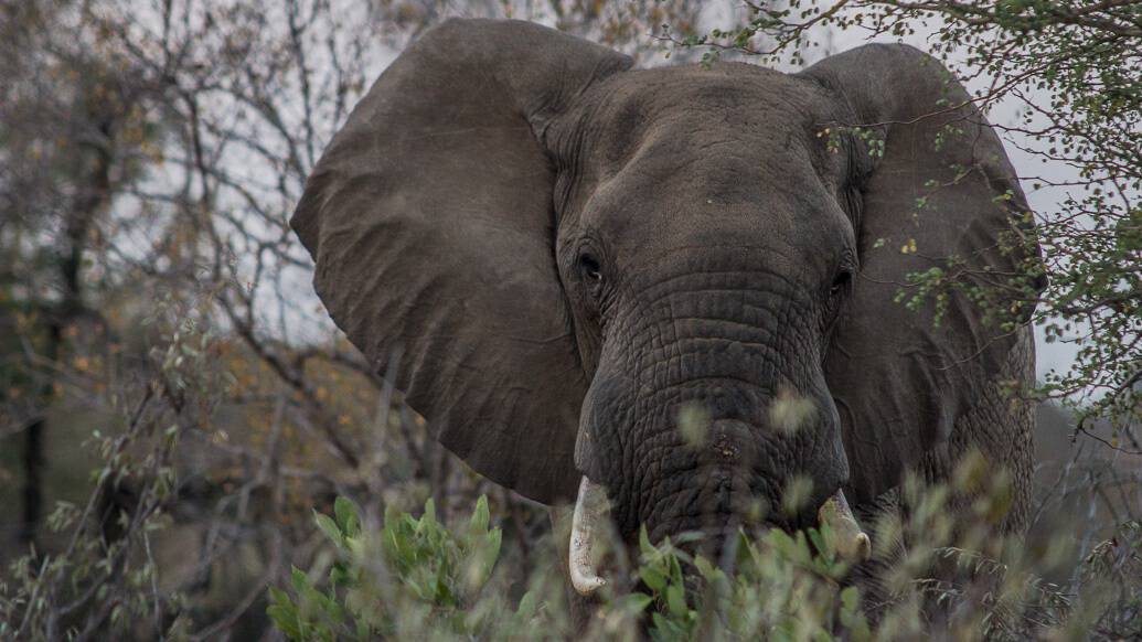 Roteiro de viagem de 10 dias na África do Sul