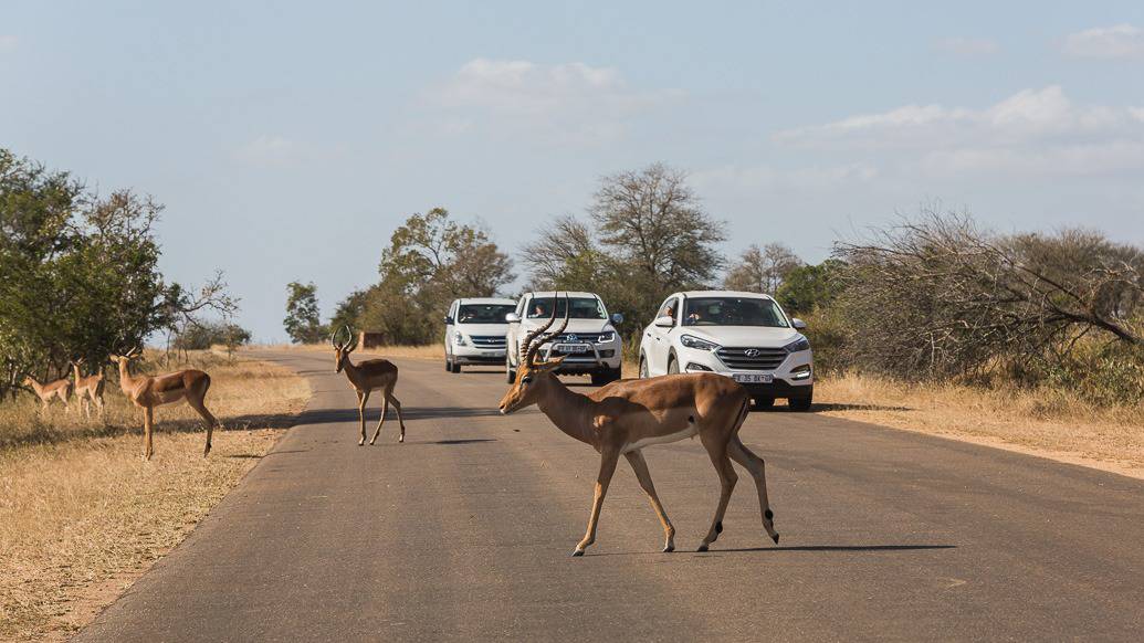 Roteiro de viagem de 10 dias na África do Sul