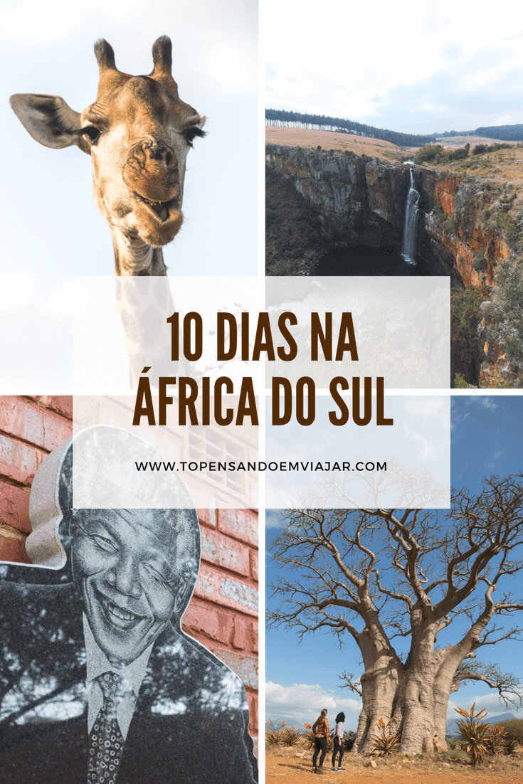 Roteiro de viagem: 10 dias na África do Sul