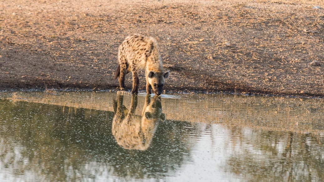 Roteiro de viagem de 10 dias na África do Sul