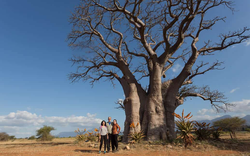 Roteiro de viagem de 10 dias na África do Sul