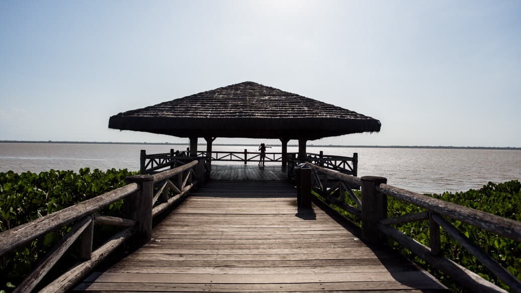 Mangal das Garças: passeio imperdível em Belém do Pará