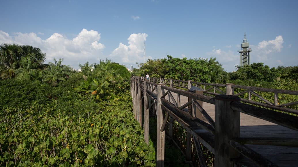 Mangal das Garças: passeio imperdível em Belém do Pará