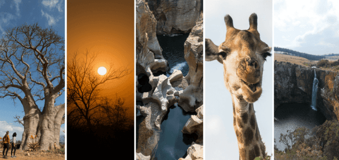roteiro-10-dias-africa-do-sul-feat blog de viagem