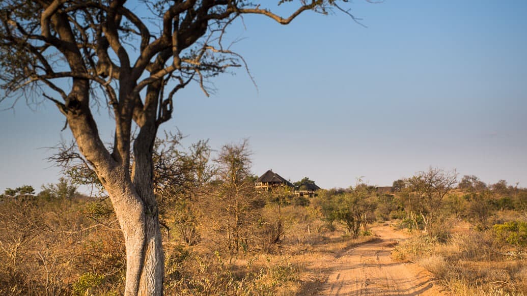 Lista com os melhores lodges no Kruger, África do Sul