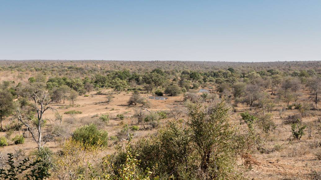 Makumu Private Game Lodge, experiência única na África do Sul