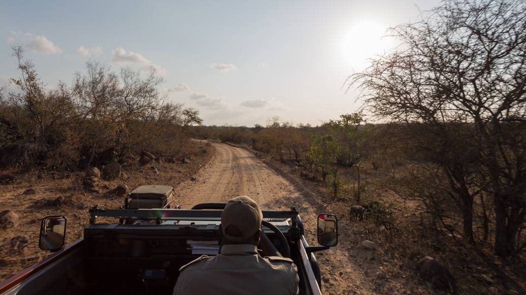 Makumu Private Game Lodge, experiência única na África do Sul