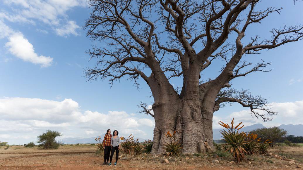 Viagem de 10 dias de carro na África do Sul