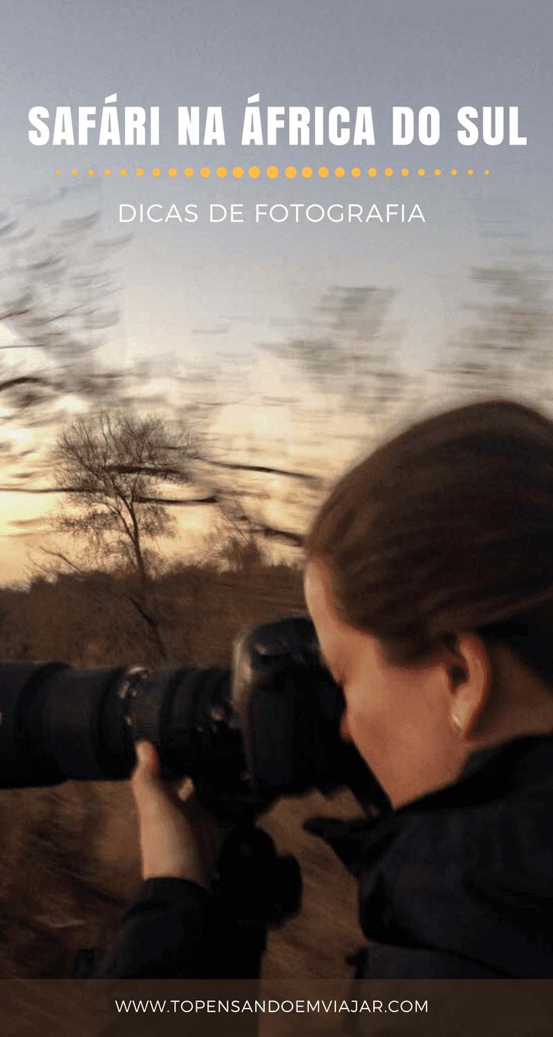 Confira várias dicas de fotografia imperdíveis para você arrasar nas lembranças fotográficas do seu safári na África do Sul. 