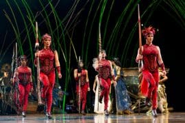 Amaluna, espetáculo do Cirque du Soleil