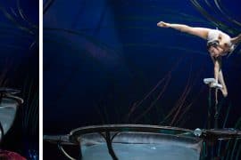 Amaluna, espetáculo do Cirque du Soleil