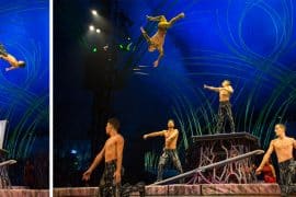 Amaluna, espetáculo do Cirque du Soleil