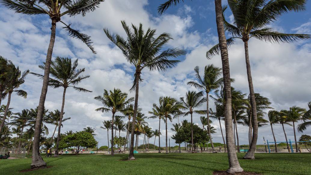 Dicas de onde ficar em Miami, na Flórida