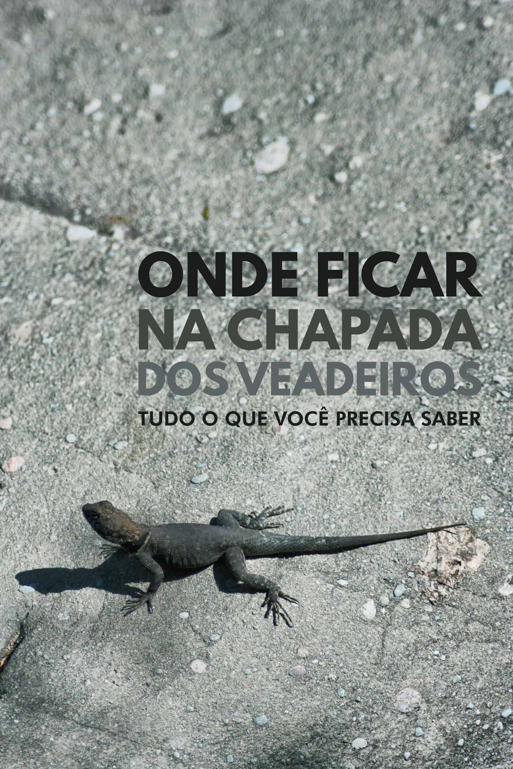 Confira dicas imperdíveis de onde ficar na Chapada dos Veadeiros, em Goiás. Conheça as melhores opções de hospedagem em Alto Paraíso, São Jorge e Cavalcante e organize sua viagem com segurança, conforto e economia. Tô pensando em viajar e você?