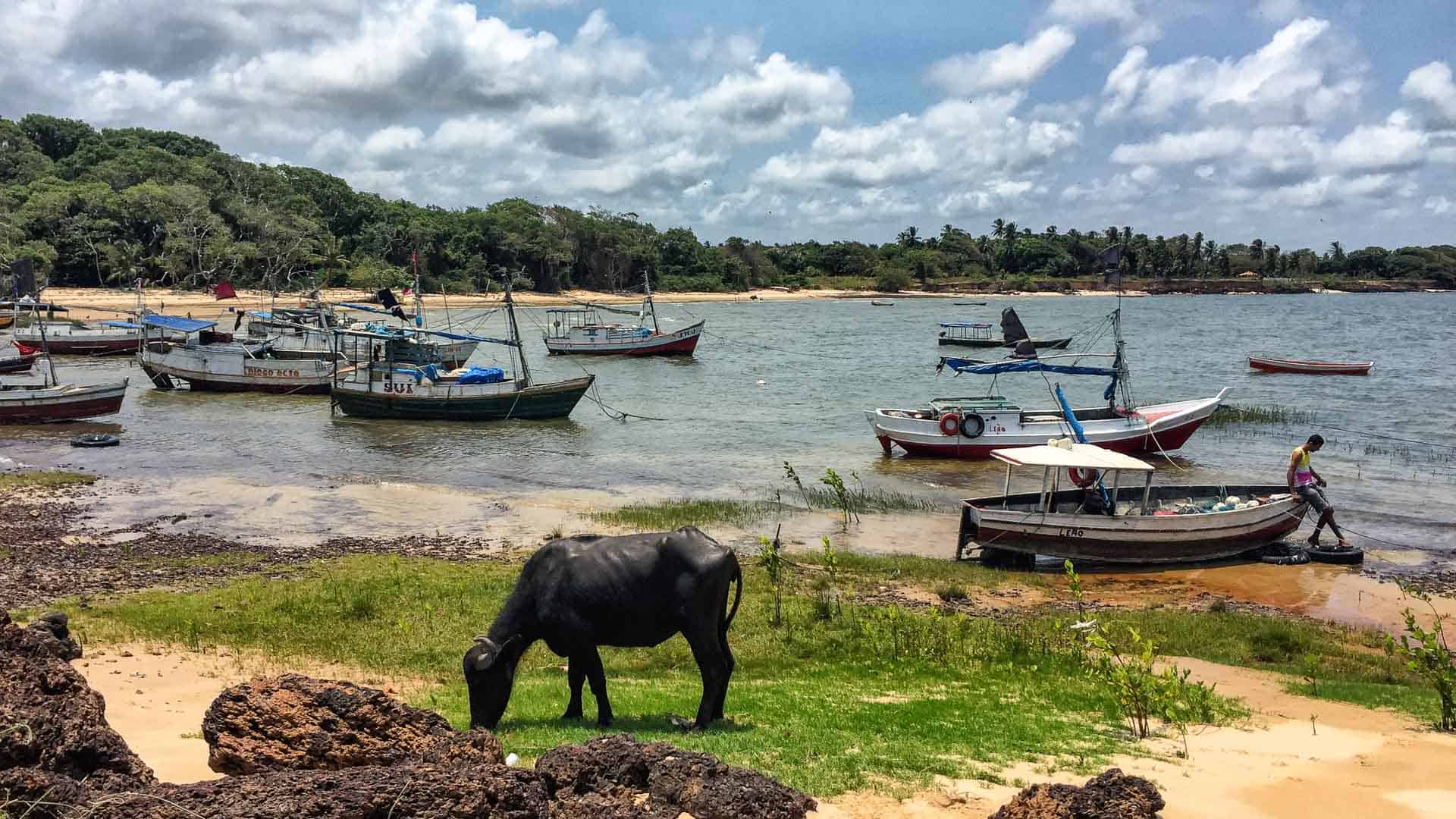 Onde ficar na Ilha de Marajó: Soure, Salvaterra ou Joanes?