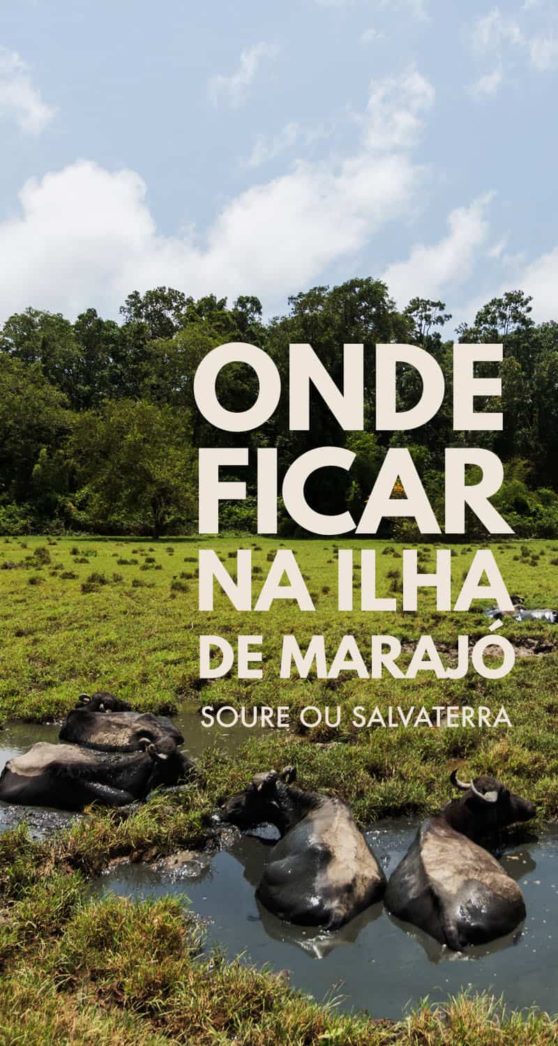 Confira dicas de onde ficar na Ilha de Marajó. Conheça as vantagens e desvantagens de se hospedar em Soure, Salvaterra ou Joanes, as principais cidades turísticas da Ilha de Marjó e encontre ótimas opções de hospedagem em ambas as cidades.