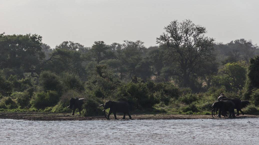 Safári no Kruger Park por conta própria de maneira econômica