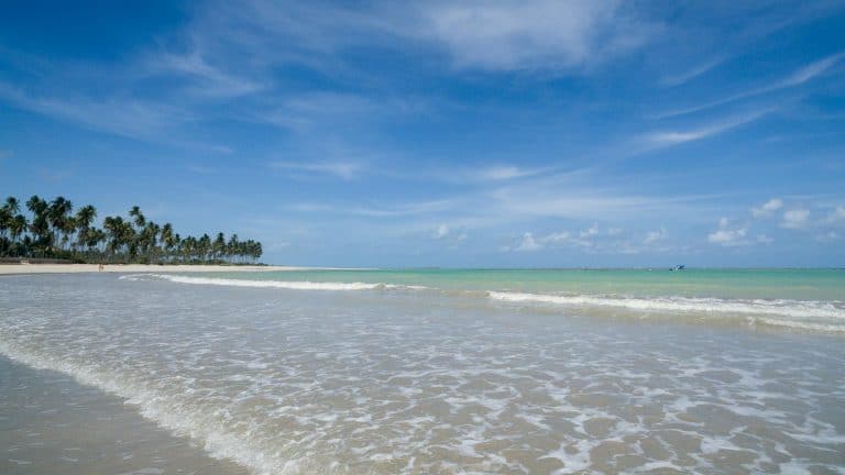 Litoral norte de Alagoas: roteiro de 8 dias