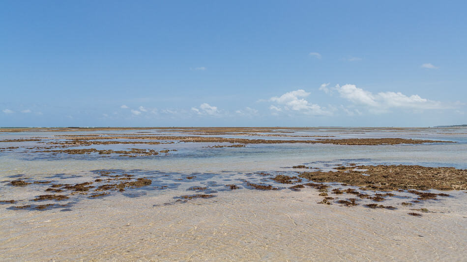 Roteiro de viagem pelo litoral norte de Alagoas