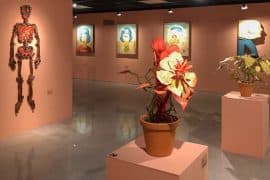 circonjecturas-rafael-silveira-ambiente