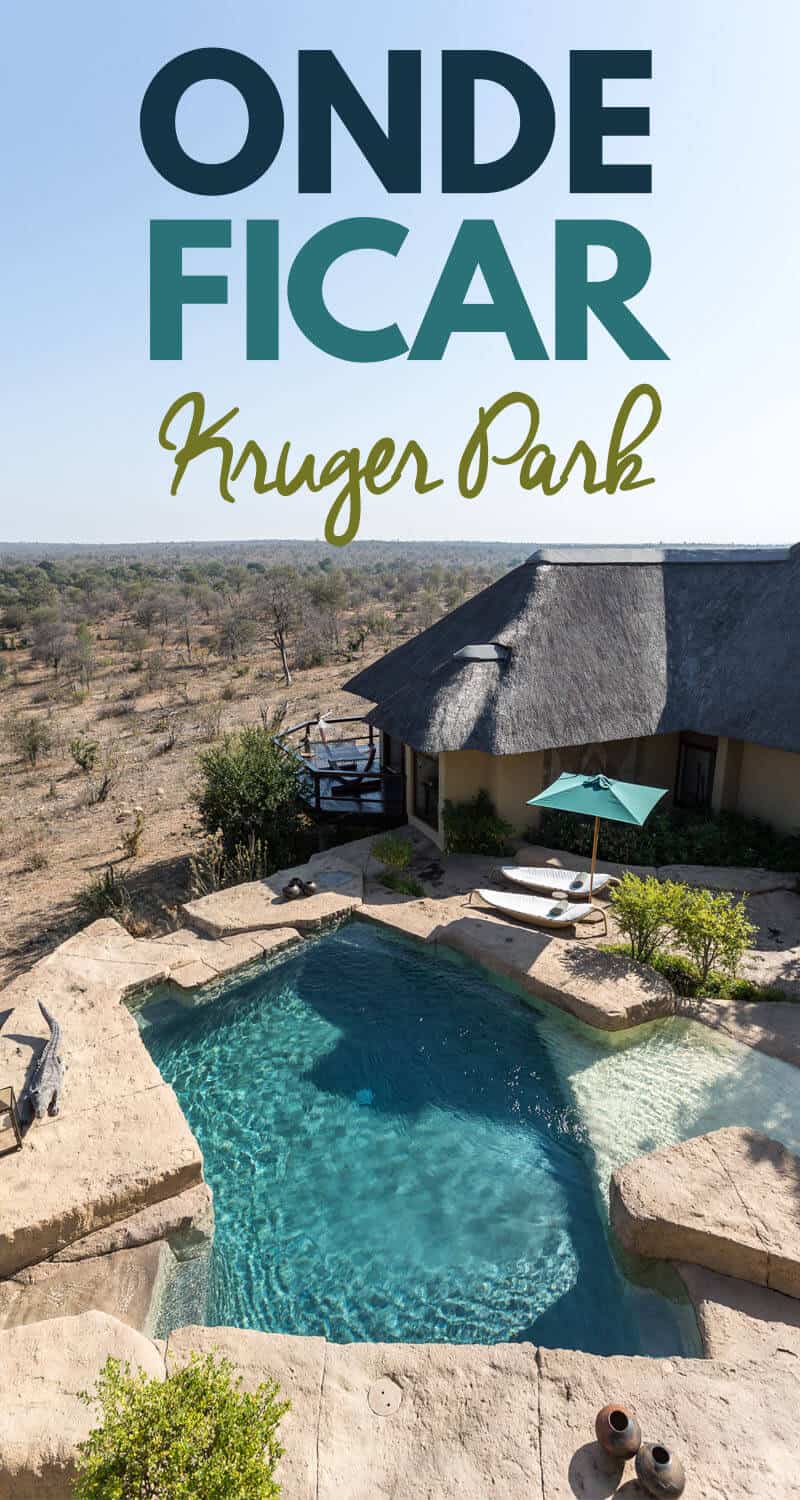 Quer fazer um safári na África do Sul e está procurando dicas de onde ficar no Kruger Park? Esse post é para você! Encontre as melhores cidades e opções de hospedagem no Kruger Park, um dos principais destinos de safári do país. Dicas e opções para todos os gostos e bolsos viajantes.