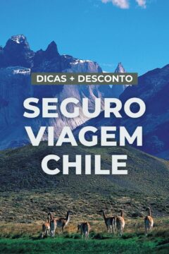 Seguro viagem para o Chile é obrigatório. Faça uma cotação grátis e descubra, com essas dicas, qual é o melhor e mais barato.