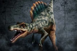 ferias-julho-sp-dinos-experience