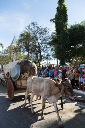 Romaria do Divino Pai Eterno em Trindade