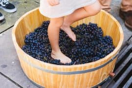 agenda-sp-agosto-2018-vinho-vila