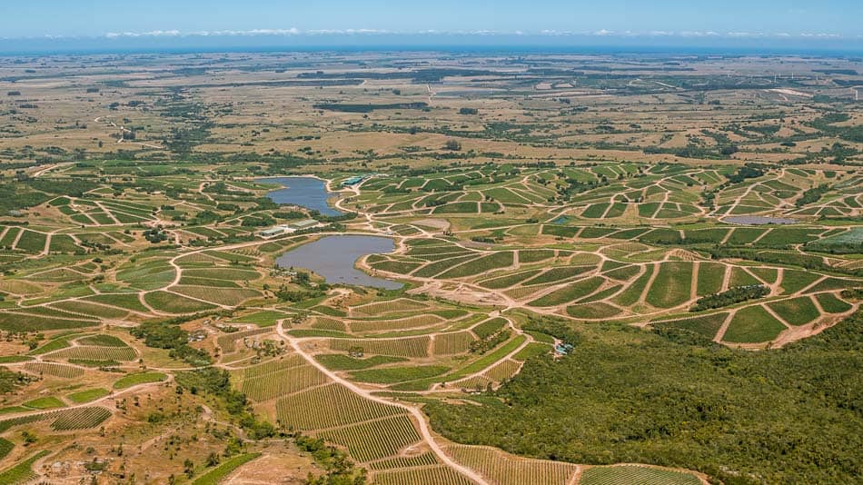 Vista da Bodega Garzón, no Uruguai Almoço assinado por Francis Mallmann e Bodega Garzón agita Gramado