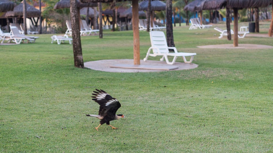 Vila Galé Marés: resort all inclusive perto de Salvador, Bahia