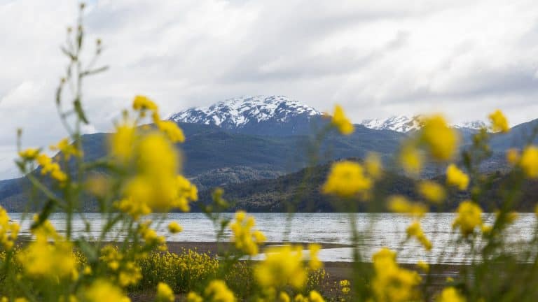 Patagônia Aysén: a Patagônia chilena como você nunca viu!