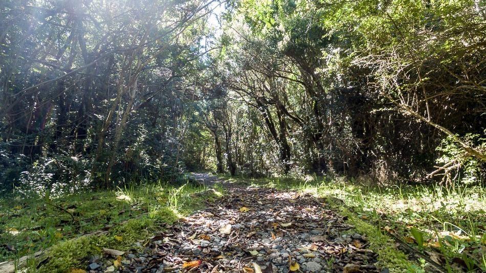 Patagônia Aysén: a Patagônia chilena como você nunca viu!