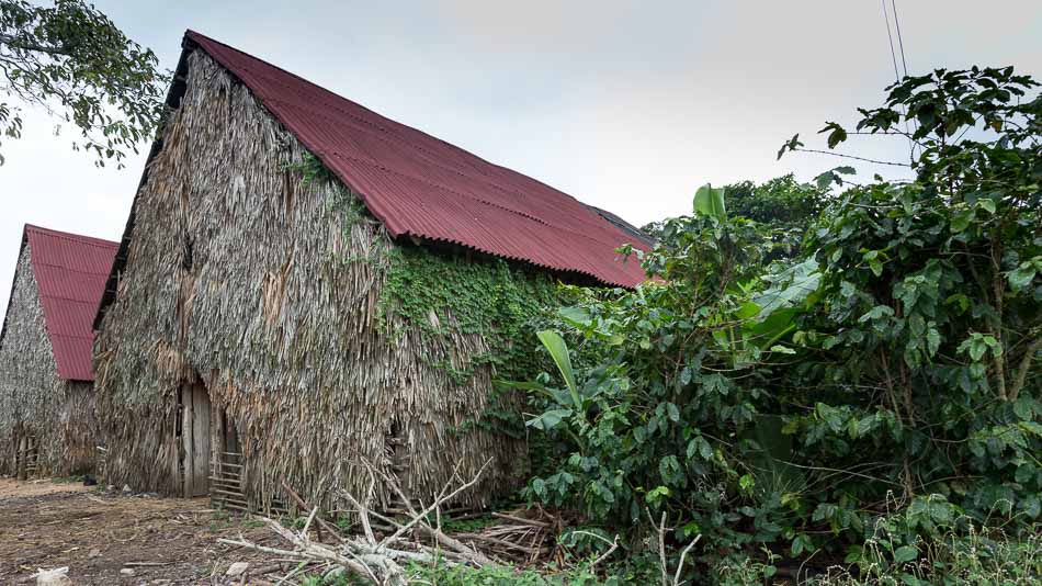 Finca de tabaco em Viñales, Cuba