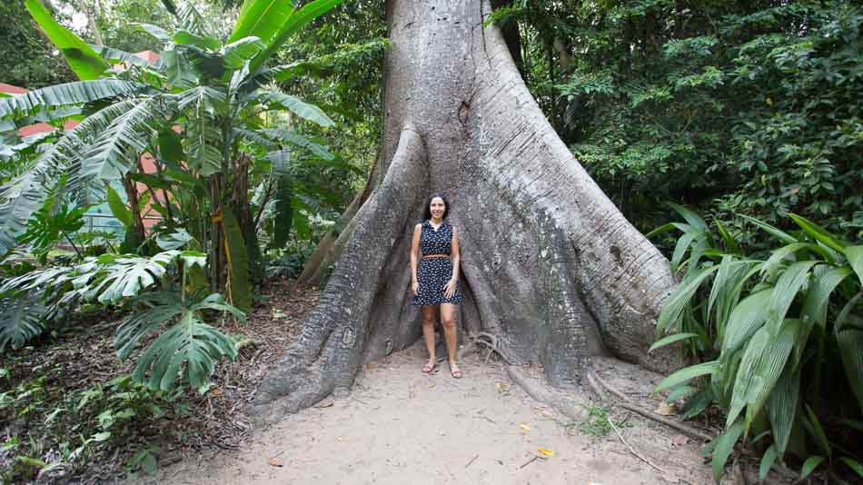 Dicas do que fazer em Belém: Parque Zoobotânico Emilio Goeldi