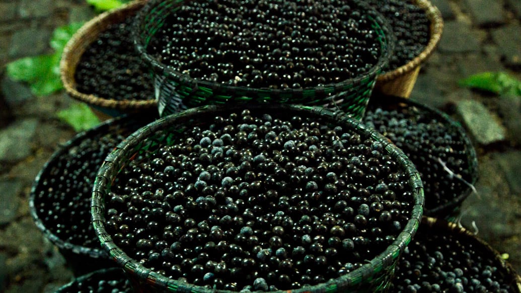 Dica do que fazer em Belém: Feira do Açaí