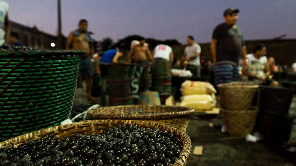 O que fazer em Belém: Feira do Açaí