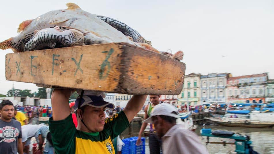 Dica do que fazer em Belém: Pedra do Peixe